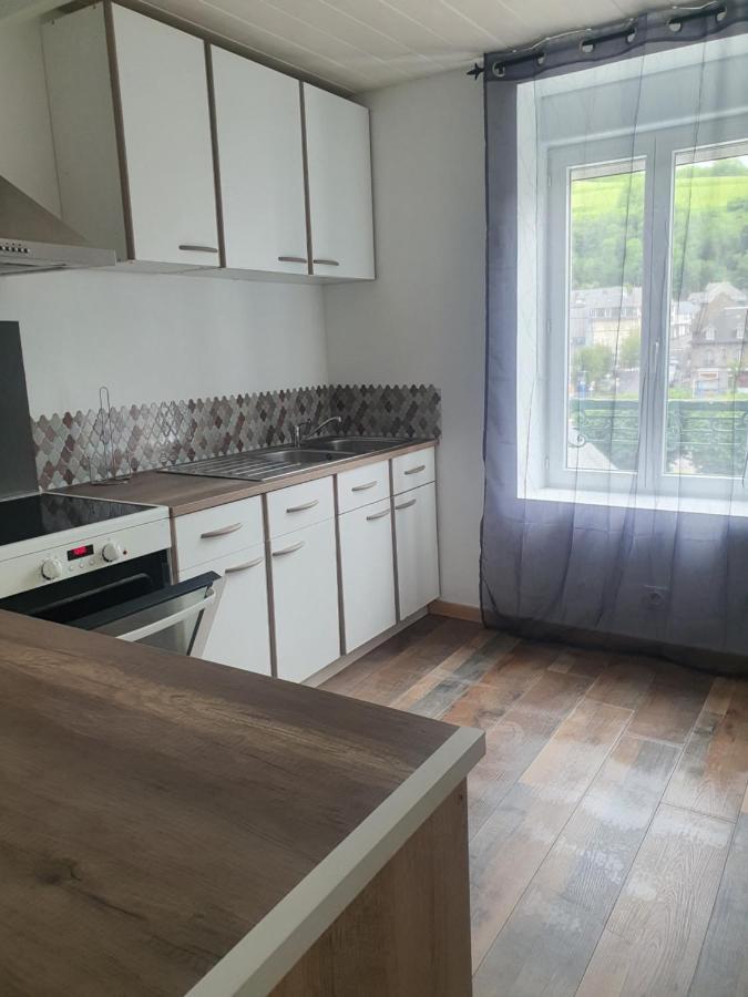Bienvenue Chez Les Ch'Oups Le Cocoon Apartment La Bourboule ภายนอก รูปภาพ